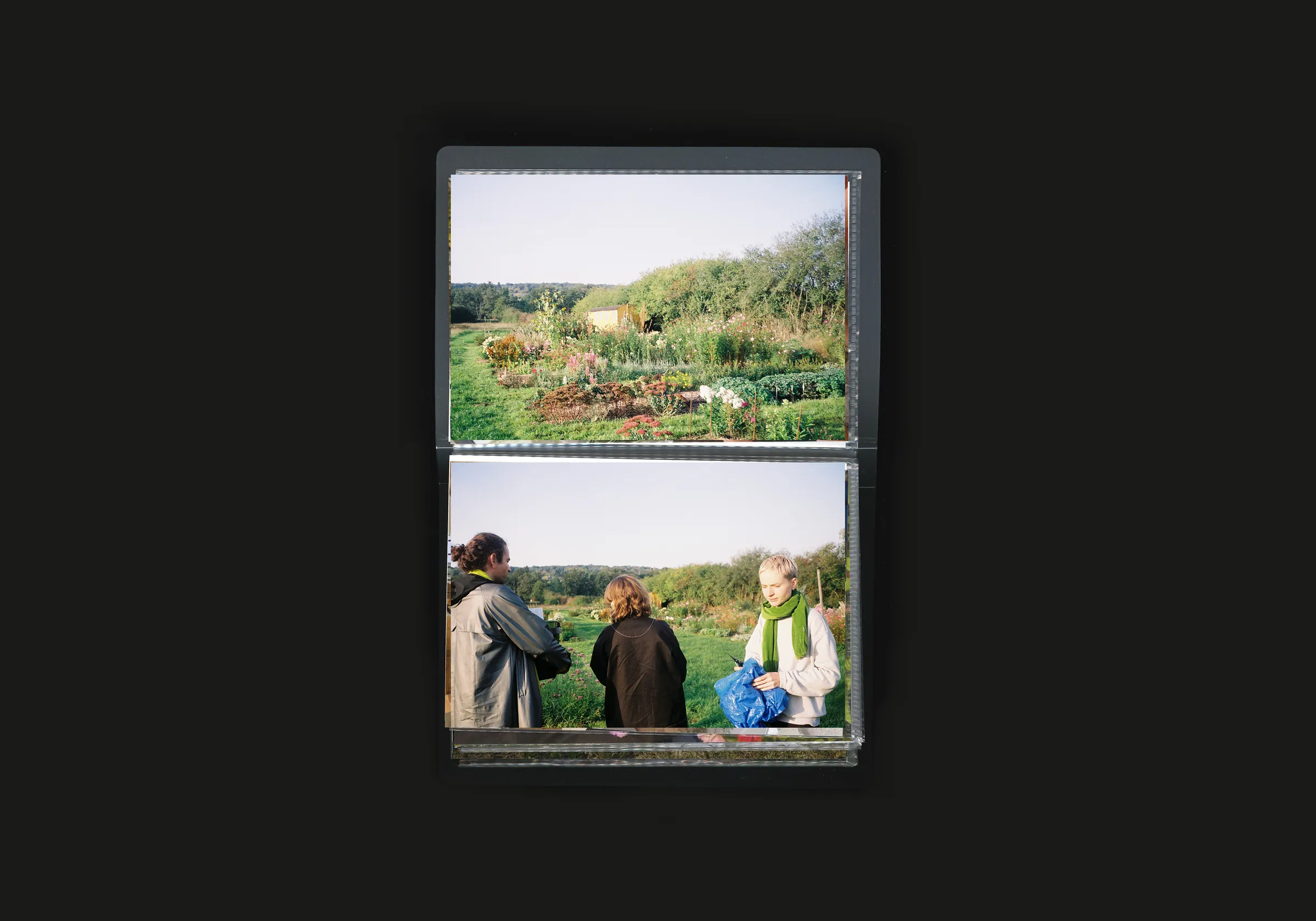 Project image